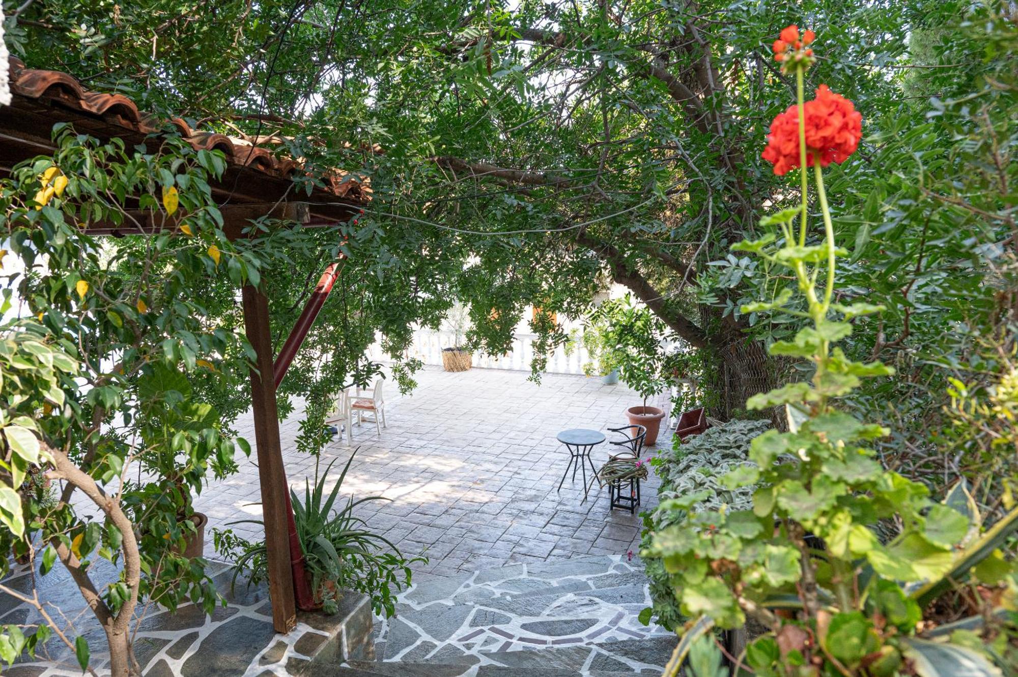 Lions 2 Studios & Apartments, Poros Island. Poros Town Exterior foto